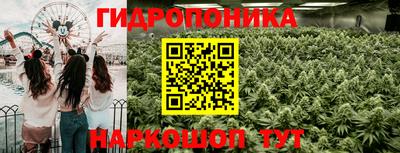 PSILOCYBIN Гулькевичи