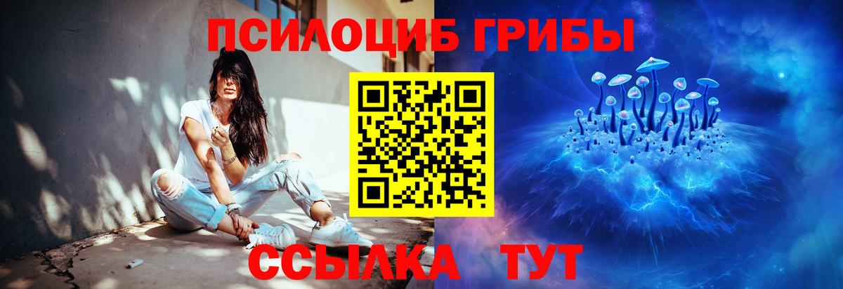 Владикавказ  Псилоцибиновые грибы прущие грибы  Вход с VPN 